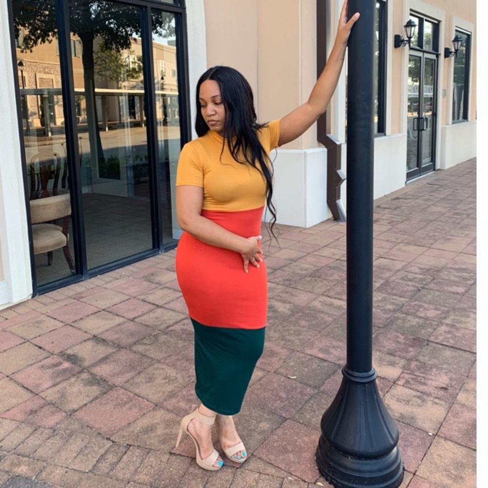 NWT Color Block Dress